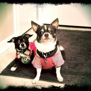 Meet your Posher, Robin leigh